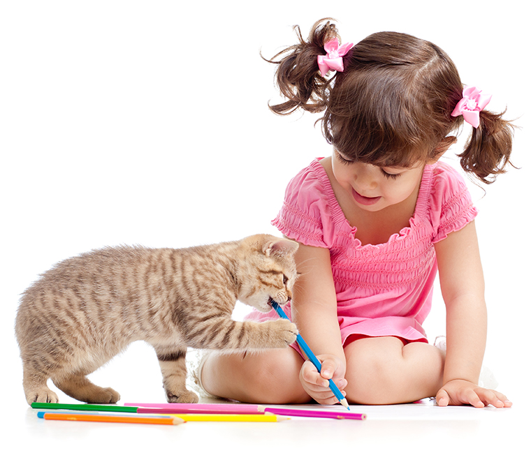 kitten with girl and colored pencils